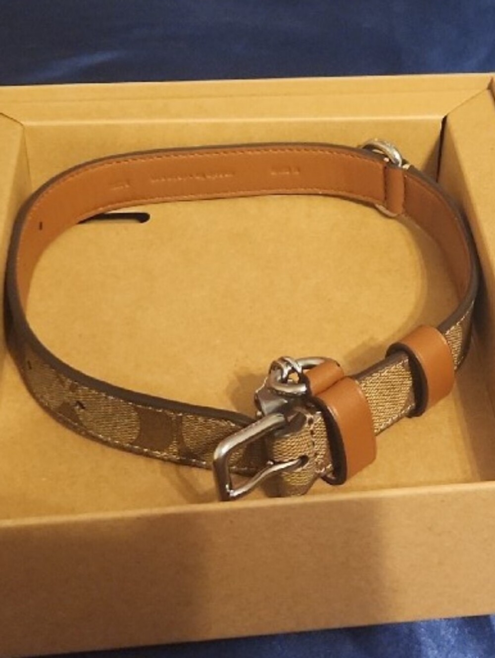 Coach Dog Collar (NEW)